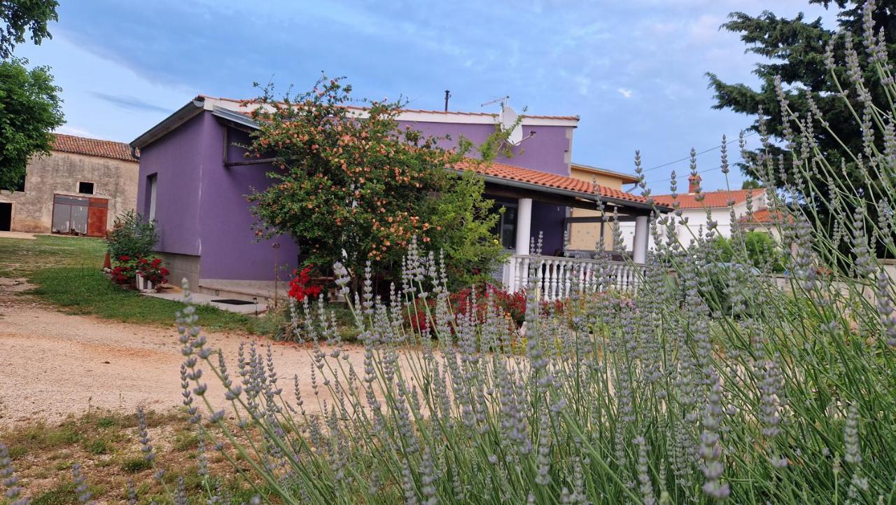 Villa Charming Cozy Holliday House 2+2 Valtura Esterno foto
